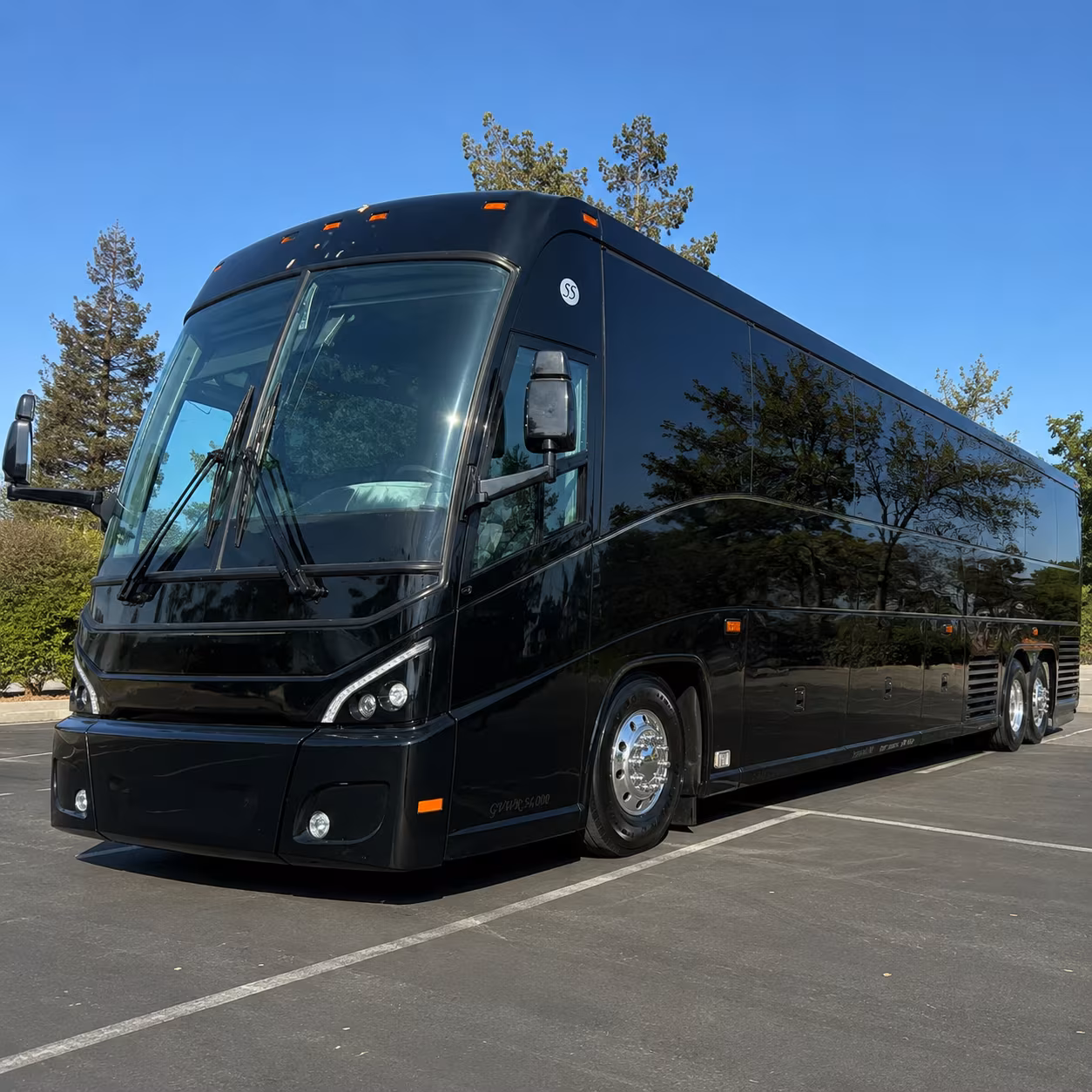 northern minnesota lake resort shuttles from woodbury